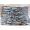 Feijão congelado 150G HGT Pacific Mackerel Fish dirigido